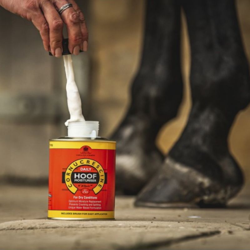 Huile Pour Sabots Stübben 400ml - Soin Quotidien Pour Chevaux, à Base D'huiles Végétales, Brillant Longue Durée