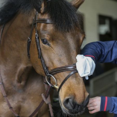 Gants de nettoyage Belvoir Carr and Day and Martin Tack Cleaner - Lingettes cuir équitation - Le Paturon