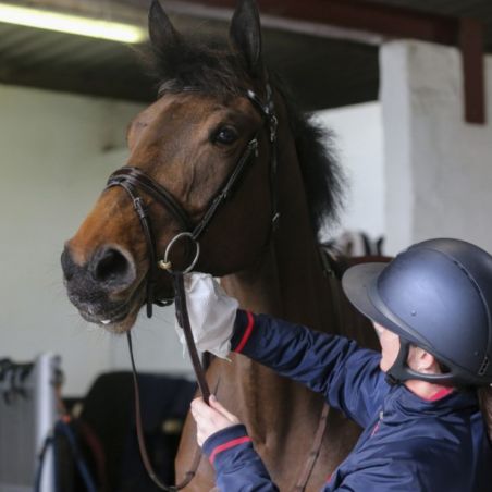 Gants de nettoyage Belvoir Carr and Day and Martin Tack Cleaner - Lingettes cuir équitation - Le Paturon