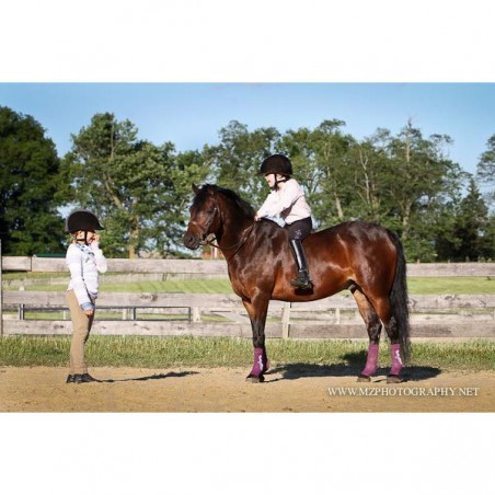 3 Chaussettes Contention Poney - Equiflexsleeve