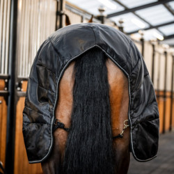 Couverture de box cheval Amigo Diamond Insulator 200g Horseware noir noir argent - Le Paturon