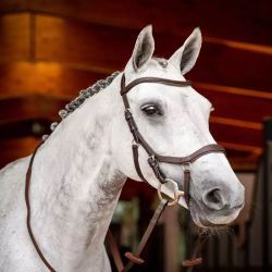 Bridon cheval cuir Micklem Competition 2 Horseware avec rênes marron foncé - Le Paturon