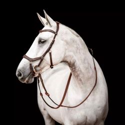Bridon cheval cuir Micklem Competition 2 Horseware avec rênes marron foncé - Le Paturon