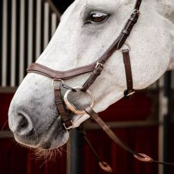 Bridon cheval cuir Micklem Competition 2 Horseware avec rênes marron foncé - Le Paturon