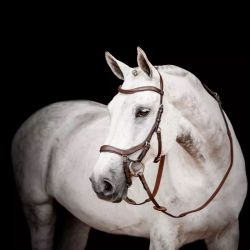 Bridon cheval cuir Micklem Competition 2 Horseware avec rênes marron foncé - Le Paturon