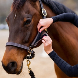 Protections côtés licol cheval Thinline - Le Paturon