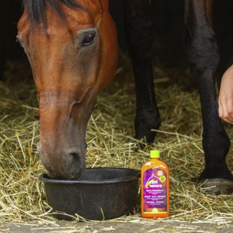 Sirop aux herbes Equinatura - Sirop toux cheval 500ml - Le Paturon