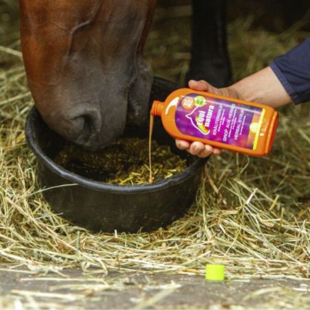 Sirop aux herbes Equinatura - Sirop toux cheval 500ml - Le Paturon