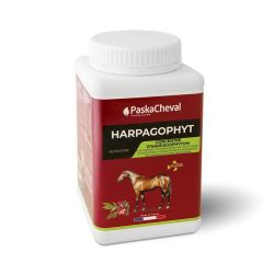 Harpagophyt Paskacheval - Harpagophytum cheval 1kg - Le Paturon