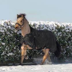 Couverture cheval Scandic High Neck Waldhausen 100g noir - Le Paturon