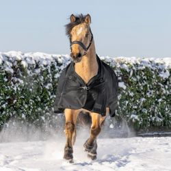 Couverture cheval Scandic High Neck Waldhausen 100g noir - Le Paturon