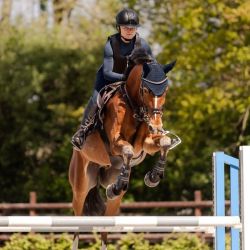 Casque équitation H24 Lady Shine Swing noir - Le Paturon