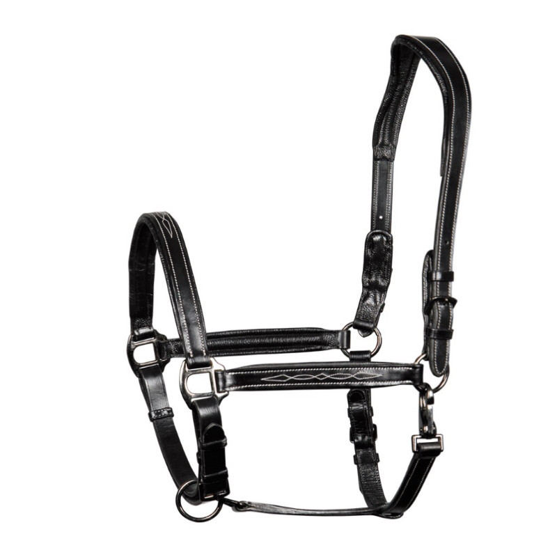 Licol cuir double Supreme Harry's Horse