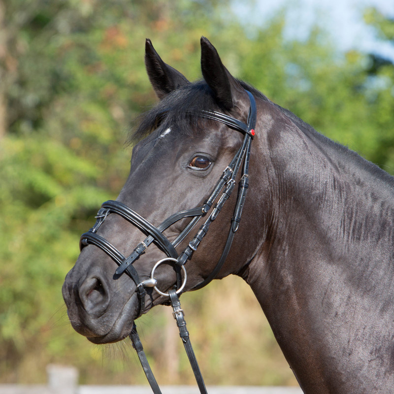 Bridon muserolle combiné cheval cuir Ultrasoft Kieffer - Le Paturon
