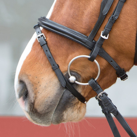 Bridon muserolle combiné cheval cuir Ultrasoft Kieffer - Le Paturon