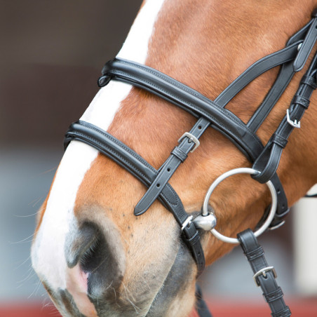 Bridon muserolle combiné cheval cuir Ultrasoft Kieffer - Le Paturon