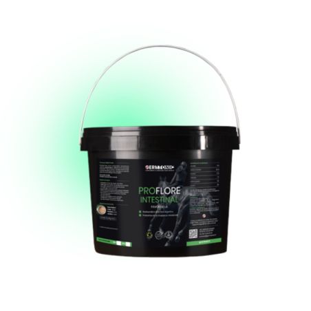 Pro Flore intestinal pré et probiotiques cheval Germtonic