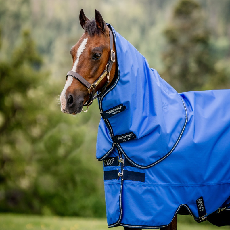 Couvre-cou cheval couverture Amigo Hero 0g Horseware bleu - Le Paturon