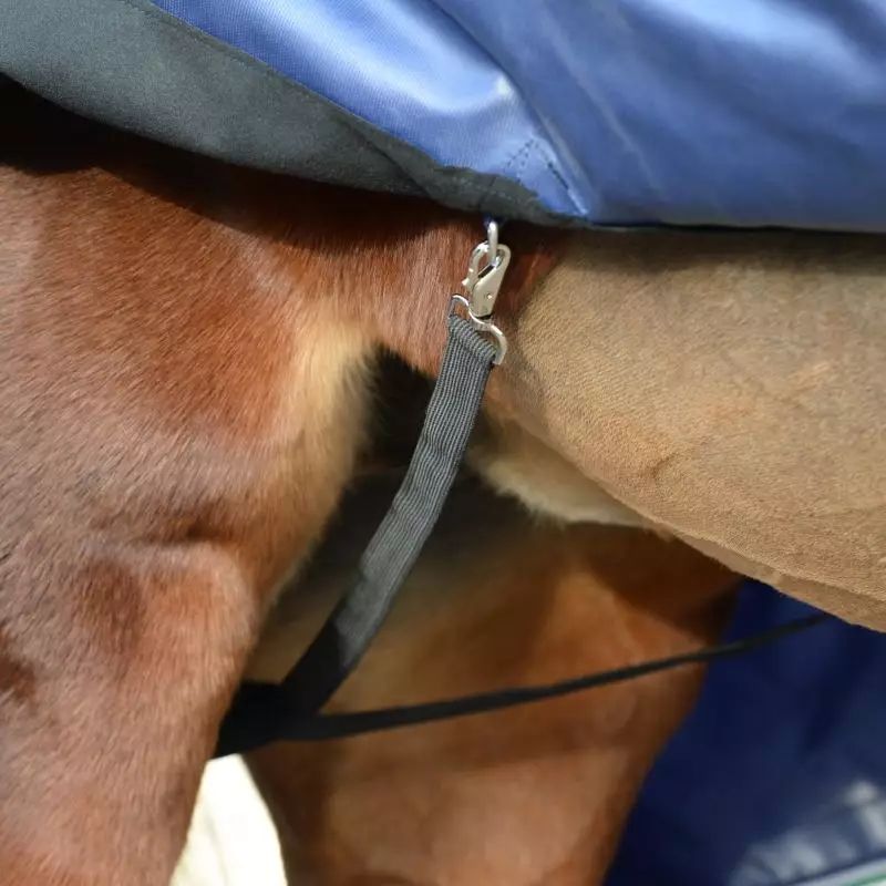 Couverture cheval imperméable épaules larges Smartex Rain Big Neck 0g Bucas bleu - Le Paturon