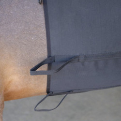 Bande de respect protection ventre cheval éperons noir - Le Paturon