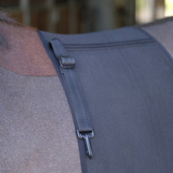 Bande de respect protection ventre cheval éperons noir - Le Paturon