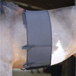 Bande de respect protection ventre cheval éperons noir - Le Paturon