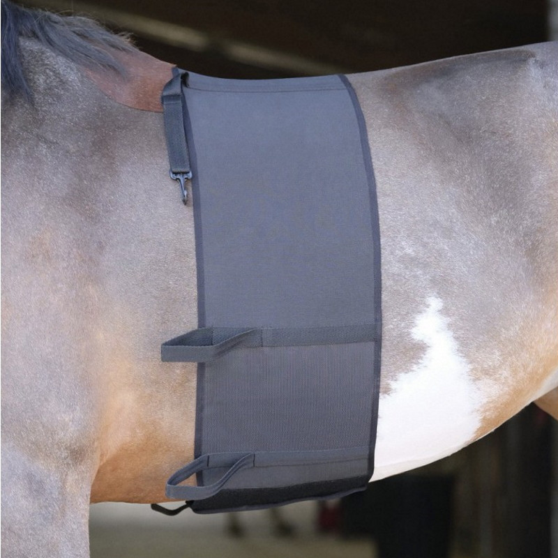 Bande de respect protection ventre cheval éperons noir - Le Paturon