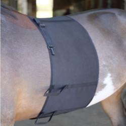 Bande de respect protection ventre cheval éperons noir - Le Paturon