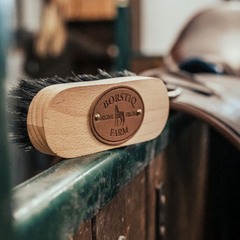 Brosse tête cheval bois de hêtre Borstiq - Le Paturon