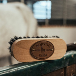 Brosse tête cheval bois de hêtre Borstiq - Le Paturon
