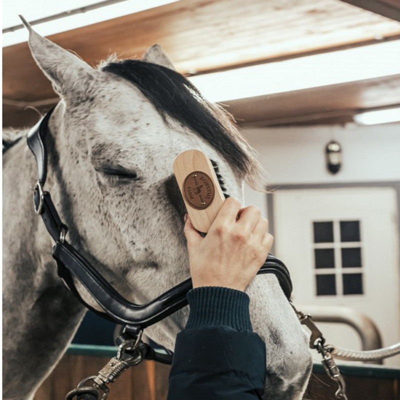 Brosse tête cheval bois de hêtre Borstiq - Le Paturon