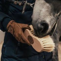 Brosse cheval Cactus/crins Infini Borstiq - Le Paturon