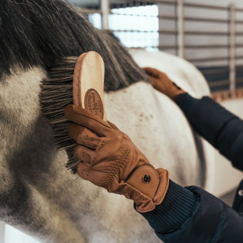Brosse cheval banane Polypropylène petit modèle Borstiq - Le Paturon