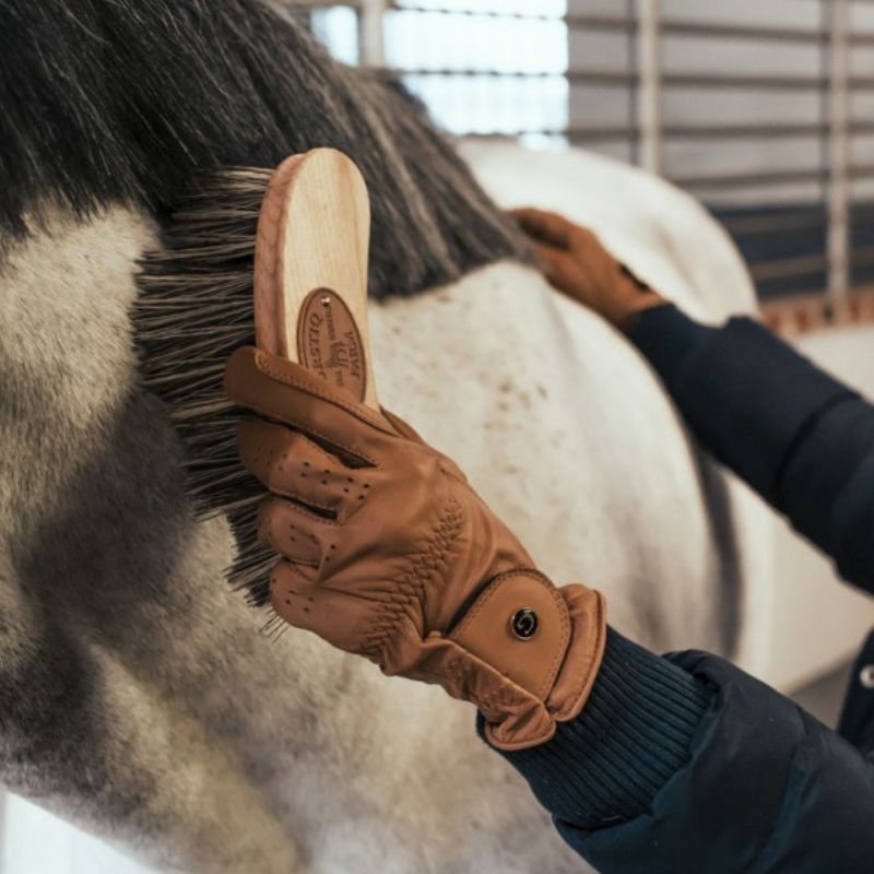 Brosse cheval banane Polypropylène grand modèle Borstiq - Le Paturon
