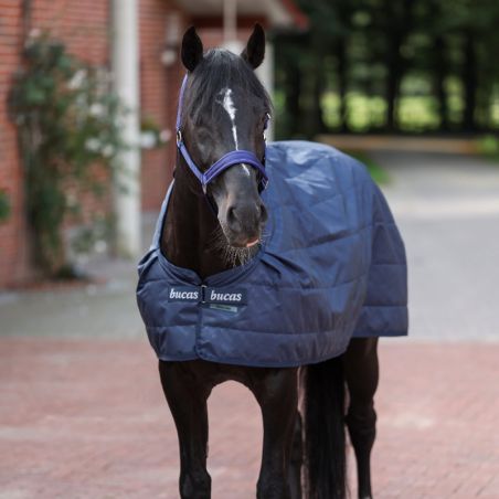 Sous-couverture cheval liner standard 100g Bucas marine - Le Paturon