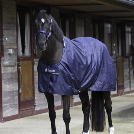 Chemise de box cheval 0g Bucas marine - Le Paturon