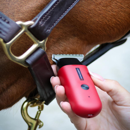 Tondeuse de finition cheval Batterie Robin Liveryman - Le paturon