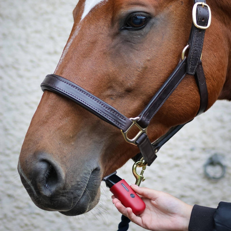 Tondeuse de finition cheval Batterie Robin Liveryman - Le paturon