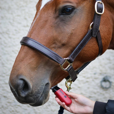 Tondeuse de finition cheval Batterie Robin Liveryman - Le paturon