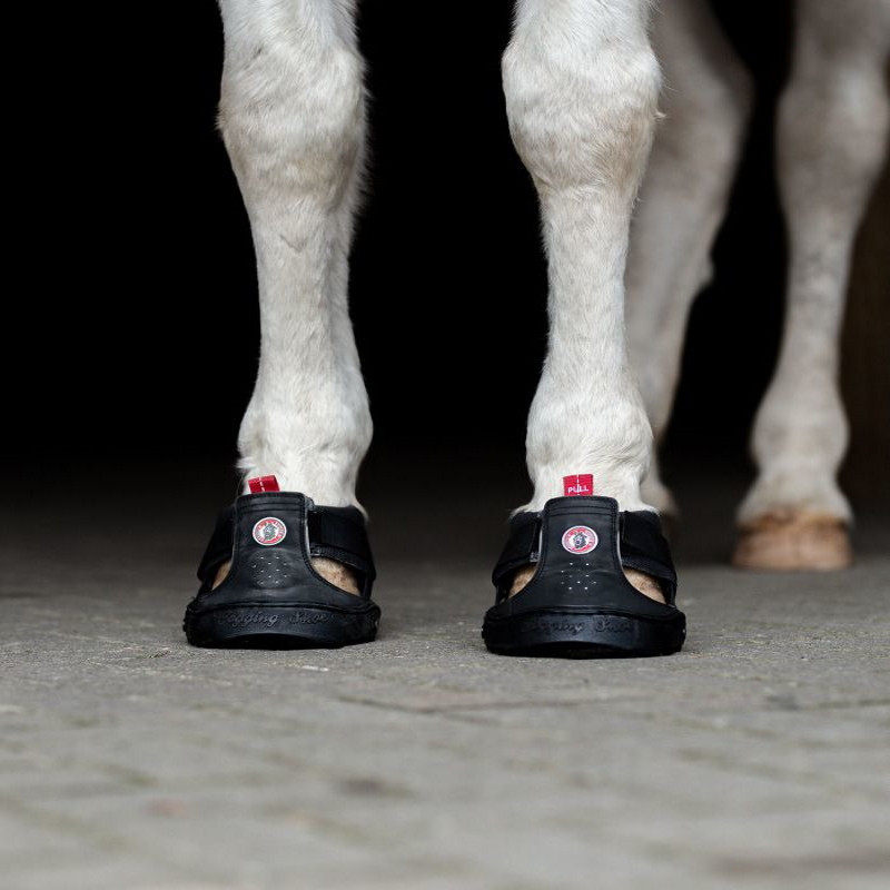 Hipposandale cheval Trekking Slim Equine Fusion noir - Le Paturon