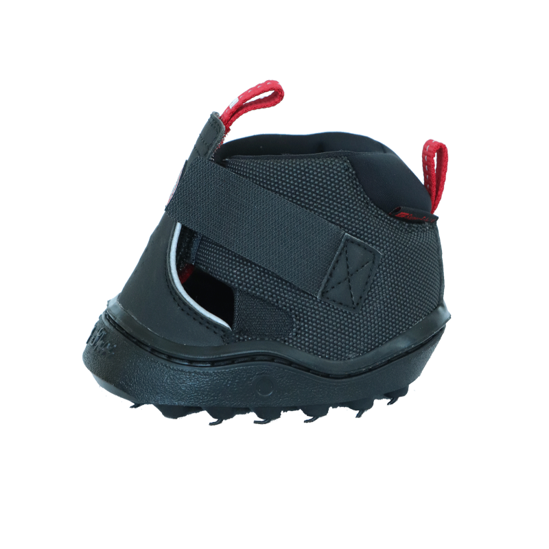 Hipposandale cheval Trekking Slim Equine Fusion noir - Le Paturon