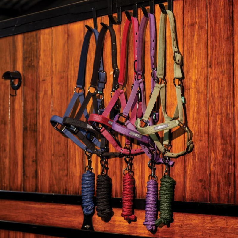 Licol et longe cheval Amigo Horseware - Le Paturon