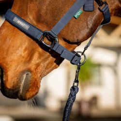 Licol et longe cheval Amigo Horseware marine - Le Paturon