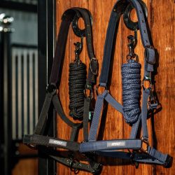 Licol et longe cheval Amigo Horseware - Le Paturon