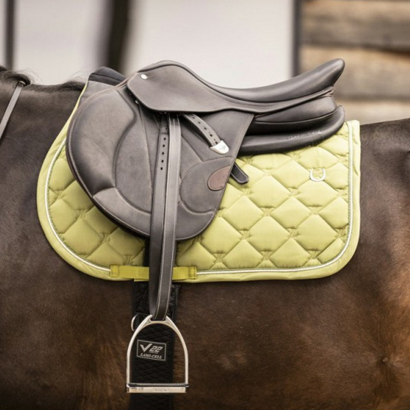 Amortisseur cheval correction dos Lami-Cell noir - Le Paturon