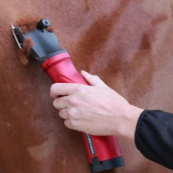 Tondeuse cheval batterie Phoenix Liveryman - Le Paturon