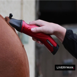 Tondeuse cheval batterie Phoenix Liveryman - Le Paturon