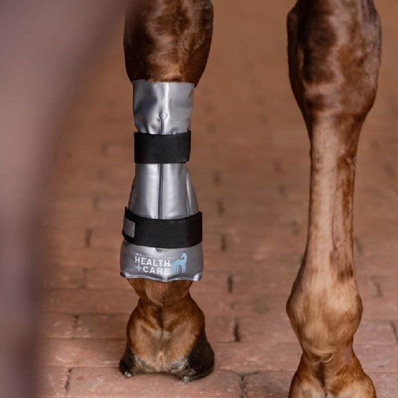 Guêtre cheval Health + Care Hot & Cold Waldhausen - Le Paturon