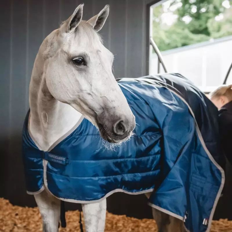 Sous-couverture cheval Liner thérapeutique Rambo Ionic 50g Horseware bleu argent - Le Paturon