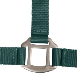 Licol cheval nylon doublé Satin Waldhausen vert sapin - Le Paturon